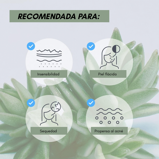 Mascarilla hidrogel de colágeno sedum – Hidratación intensa y efecto refrescante