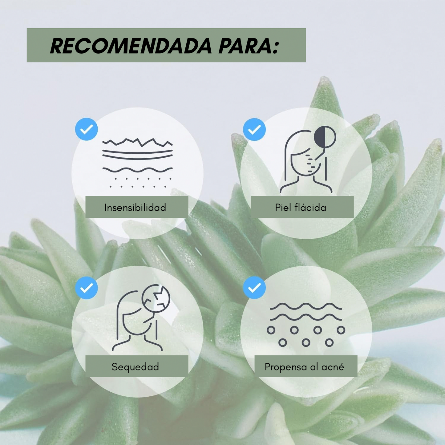 Mascarilla hidrogel de colágeno sedum – Hidratación intensa y efecto refrescante